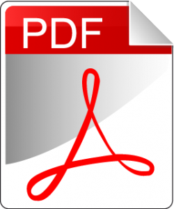 PDF-Icon